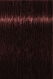 
                                ИНДОЛА ПРОФЕШН крем-краска 5.67 Светлый коричневый красный фиолет NEW
