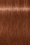 
                                Крем - краска для волос Indola Profession Permanent Ageless 7.38+ Ср. русый золот. шок. 60 мл
